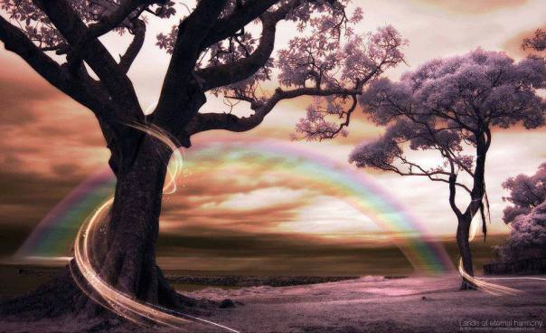 alberi arcobaleno
